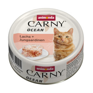 Carny Ocean Lachs-Sardine 80gD