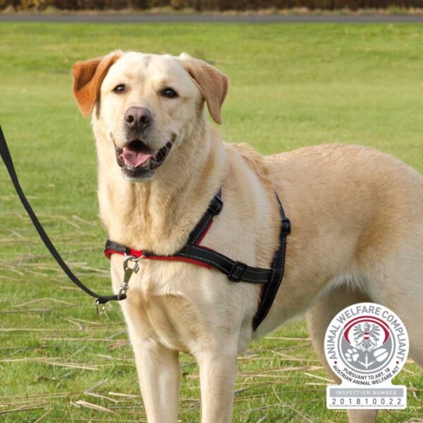 Trixie Trainingsgeschirr Lead'n'Walk Soft - S-M – Bild 4