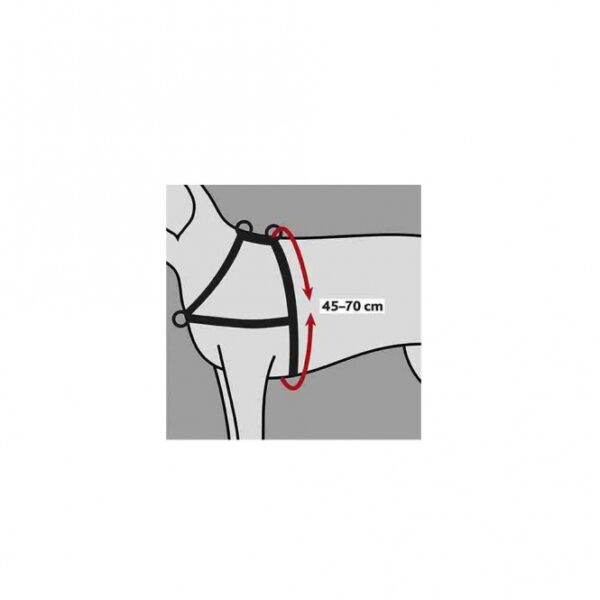 Trixie Trainingsgeschirr Lead'n'Walk Soft - S-M – Bild 5