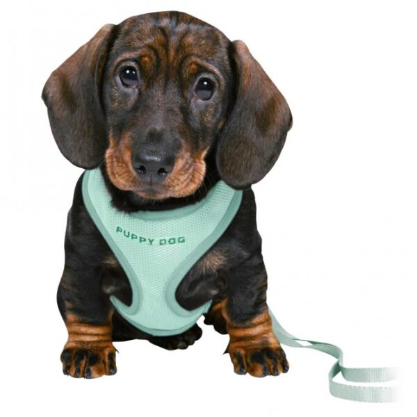 Trixie Junior Welpen-Softgeschirr mit Leine - hellgrau – Bild 4