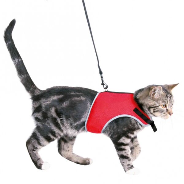 Trixie Katzen-Softgeschirr mit Leine – Bild 3